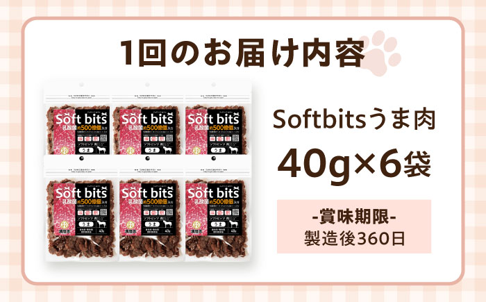 【全6回定期便】Softbits ドッグフード 馬（40g×6P）/ ドッグフード 犬 いぬ ドッグ おやつ ペットフード / 大村市 / サポート [ACAM038]
