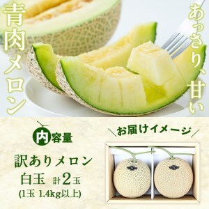【冬限定・数量限定】牧さんの訳ありメロン 白玉(青肉)計2玉 メロン マスクメロン 果物 くだもの デザート 青肉 訳あり b0-106-w