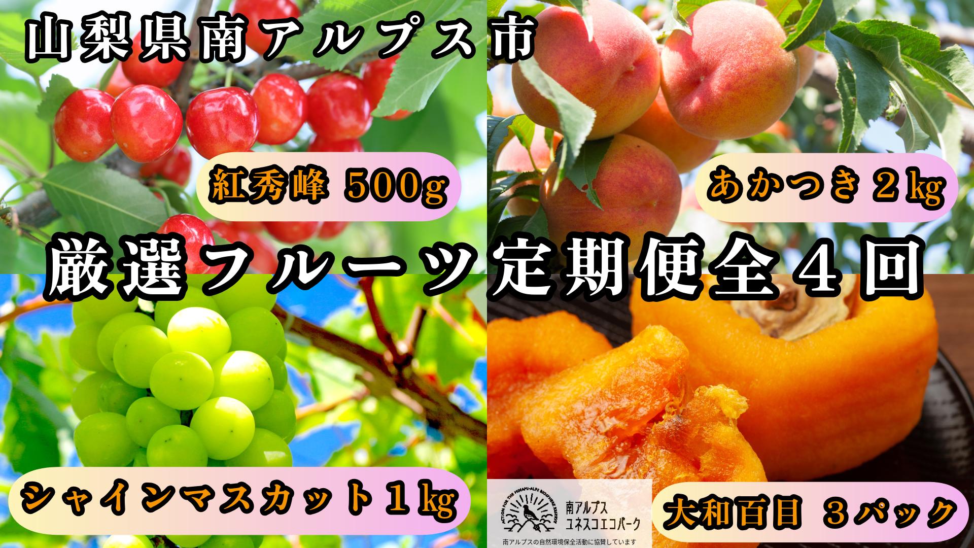 
                  ＜2026年発送先行予約＞山梨県南アルプス市産 厳選フルーツ定期便全4回A(さくらんぼ・桃・シャインマスカット1kg・あんぽ柿) ALPEM015
                