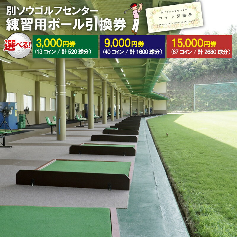 【ふるさと納税】別ソウゴルフセンター練習用ボール引換券 3,000円券(13コイン・計520球分） 9,000円券(40コイン・計1600球分） 15,000円券(67コイン・計2680球分） 選べる