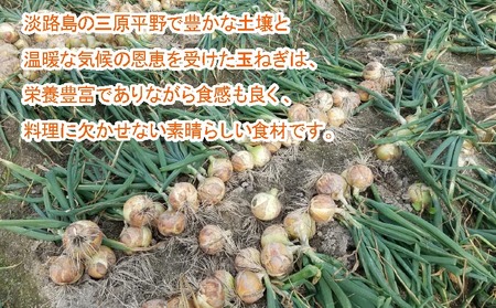 完熟玉ねぎ　中生3ｋｇ　◆配送6月上旬～