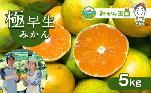 『 みかん王国 』 の 極早生みかん 5kg | フルーツ 果物 くだもの 柑橘 柑橘類 みかん ミカン 熊本県 玉名市