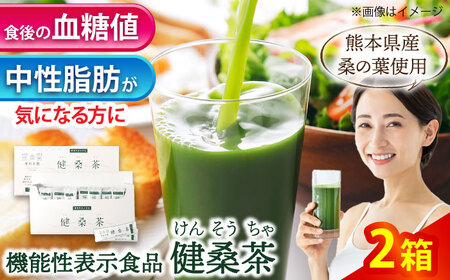 機能性表示食品 健桑茶 2箱【株式会社 峯樹木園】[AYBM002]