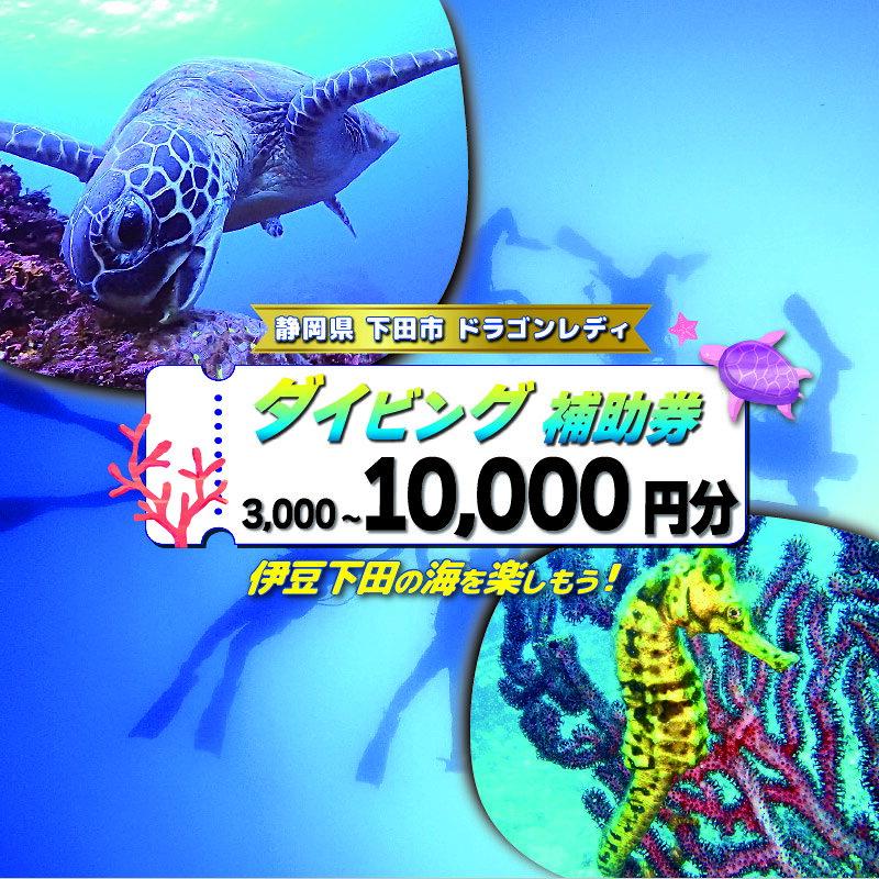 【ふるさと納税】 ダイビング 補助券 選べる 3,000円 5,000円 10,000円 優待券 下田 体験 海 アウトドア スポーツ アクティビティ マリンスポーツ レジャー 旅行 観光 夏休み お盆 GW 冬休み 春休み ギフト 券 白浜 ホテル伊豆急 内 ドラゴンレディ 静岡県 伊豆 下田市