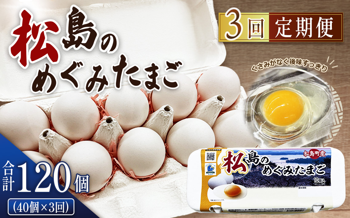 
            No.163 松島のめぐみたまご　40個入り　3ヵ月定期便 ／ 卵 玉子 卵黄 オレンジ 美味しい すっきり ハーブ 安心 安全 宮城県
          