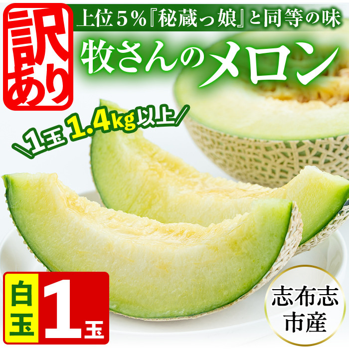【冬限定・数量限定】牧さんの訳ありメロン 白玉(青肉)1玉 メロン マスクメロン 果物 くだもの デザート 赤肉 訳あり a1-058-w