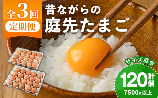 【C7048】《定期便・計3回》昔ながらの庭先たまご (40個×3回 計120個・サイズ混合) 卵 玉子 たまご 定期便 平飼い 40個 濃厚 うまみ 卵かけご飯 目玉焼き 卵焼き ごはん おかず【フ