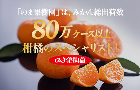 せとか家庭用（1kg） [K003710K1] 人気商品 国産 高級フルーツ 人気商品 みかん 柑橘 フルーツ 果物 乃万青果 のま果樹園 せとか 高級柑橘