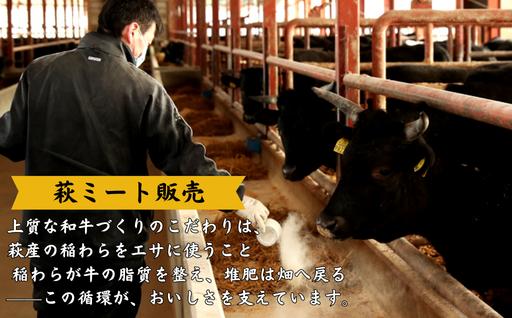 長萩和牛ハンバーグ 180g×5個