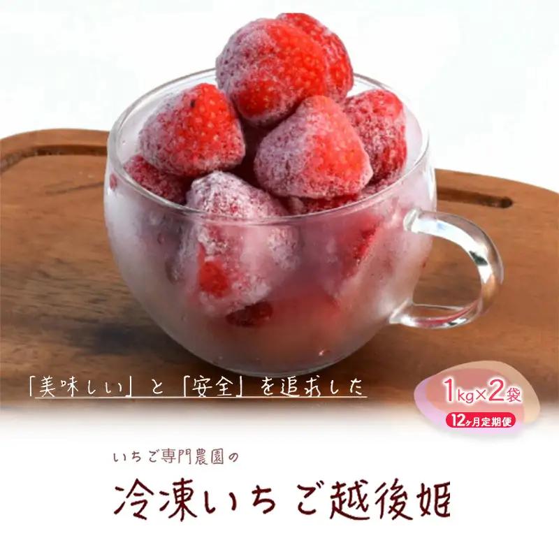 【12ヶ月定期便】越後姫 冷凍いちご 1kg×2袋 いちご フルーツ