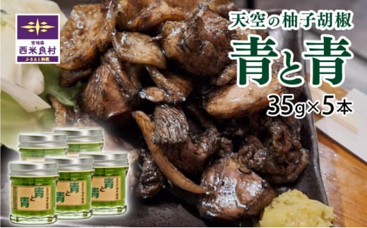 【ふるさと納税】2024年製造の新作登場!!　天空の柚子胡椒「青と青」選べる 35g×5本セット　無添加　鍋　水炊き　地鶏　宮崎　西米良村　贈答　ギフト