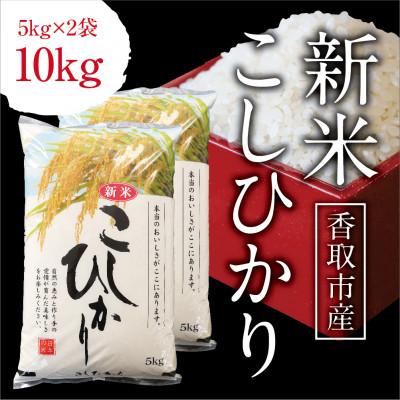 ふるさと納税 香取市 令和7年産　千葉県産コシヒカリ　精米　10kg(5kg×2袋)