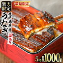 【ふるさと納税】＜訳あり＞東串良町のうなぎ蒲焼(無頭)(5尾以上・計約1kg・タレ、山椒付) 数量限定 うなぎ 高級 ウナギ 鰻 国産 蒲焼 蒲焼き たれ 鹿児島 ふるさと 人気【アクアおおすみ】【0304313a】