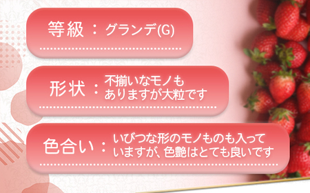 福岡県産 あまおう 1080g 送料無料 いちご 果物 フルーツ ギフト 季節限定 スイーツ ケーキ ブランド 先行予約 2024年12月より順次発送  TY050-2