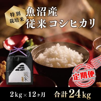 ふるさと納税 十日町市 【毎月定期便】【特別栽培米】頂米 金兵衛 魚沼産従来コシヒカリ(精米)2kg 全12回