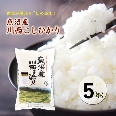 ふるさと納税 十日町市 新潟県魚沼産 川西コシヒカリ  5kg【10月下旬以降発送】