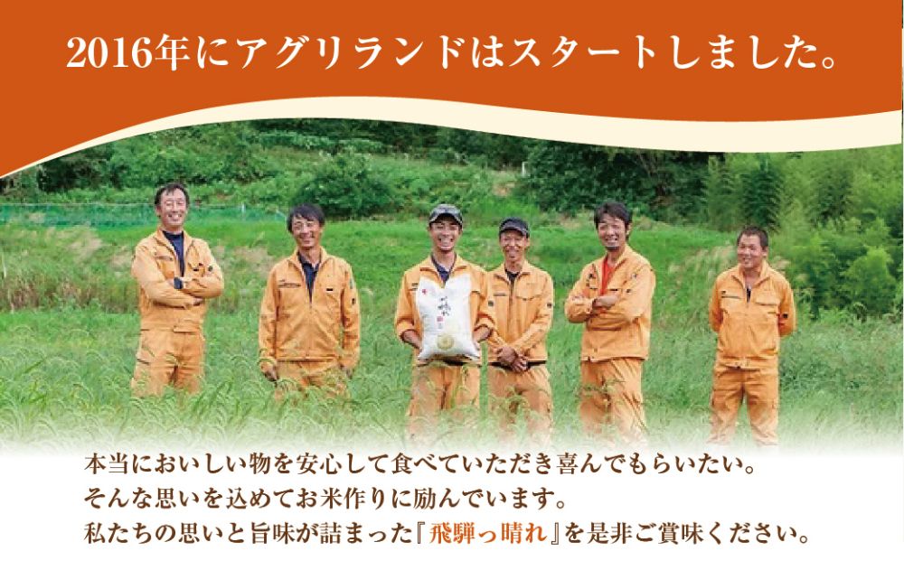 【定期便】こしひかり飛騨っ晴れ 玄米 10kg 12回 お届け 生産者直送 お米 コシヒカリ 飛騨産 飛騨高山 アグリランド JF107