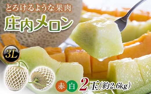 【2025年発送 先行予約】庄内メロン 紅白セット 2玉 3L 約2.6kg 青肉メロン メロン 青肉 デザート フルーツ 果物 くだもの 果実 食品 山形県 FSY-0585