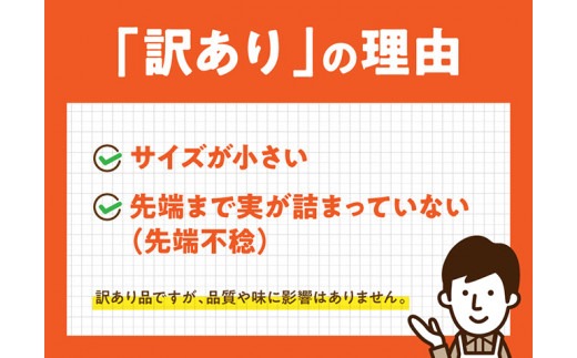 【訳あり】令和8年発送　宮崎県産とうもろこし　スイートコーン「ゴールドラッシュ」13～20本【新鮮 農家直送 トウモロコシ 産地直送 季節限定 期間限定 宮崎県産 九州産】 [C09104]