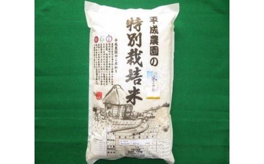 
                  長野市産 風さやか 5kg 特別栽培米（平成農園）
                