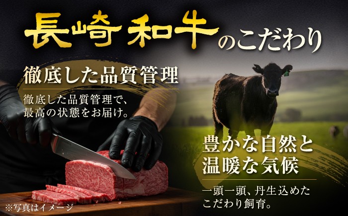 牛肉 希少部位 シャトーブリアン 人気 和牛 極上 赤身 ブランド ヒレ