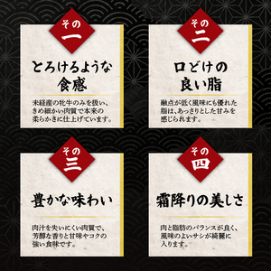 近江牛 3ヶ月定期便 城下町コース 【近江牛定期便】