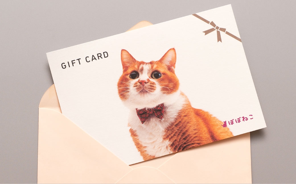 ぽぽねこ ギフト券 9,000円分（封筒タイプ）