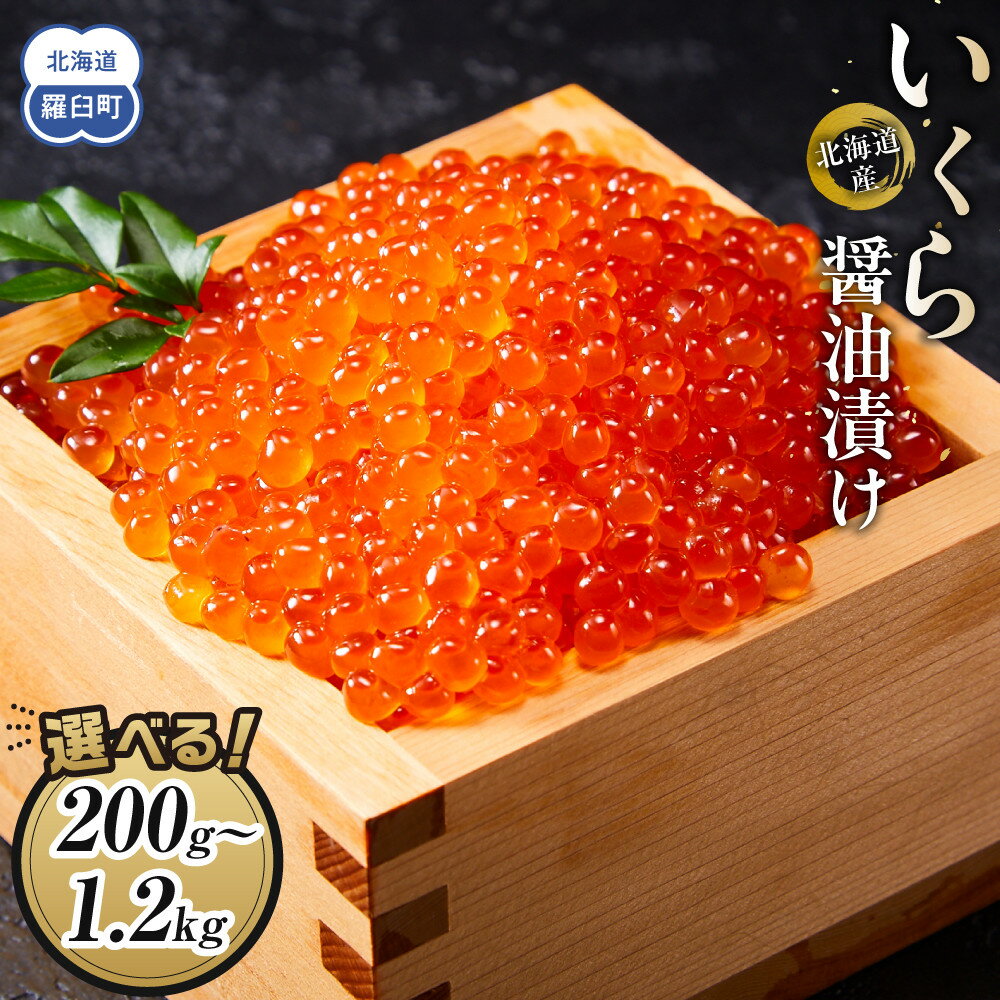 発送時期が選べる 新物 国産 いくら 500g 鮭卵 醤油漬け 北海道産 大容量 (250g × 2パック) 小分け パック イクラ 海鮮丼 ギフト 鮭いくら 年末 贈り物 魚介類 魚介 北海道 海産物 鮭 しゃけ 高評価★4.6 数量限定 羅臼町 生産者 支援 応援 F22M-001var