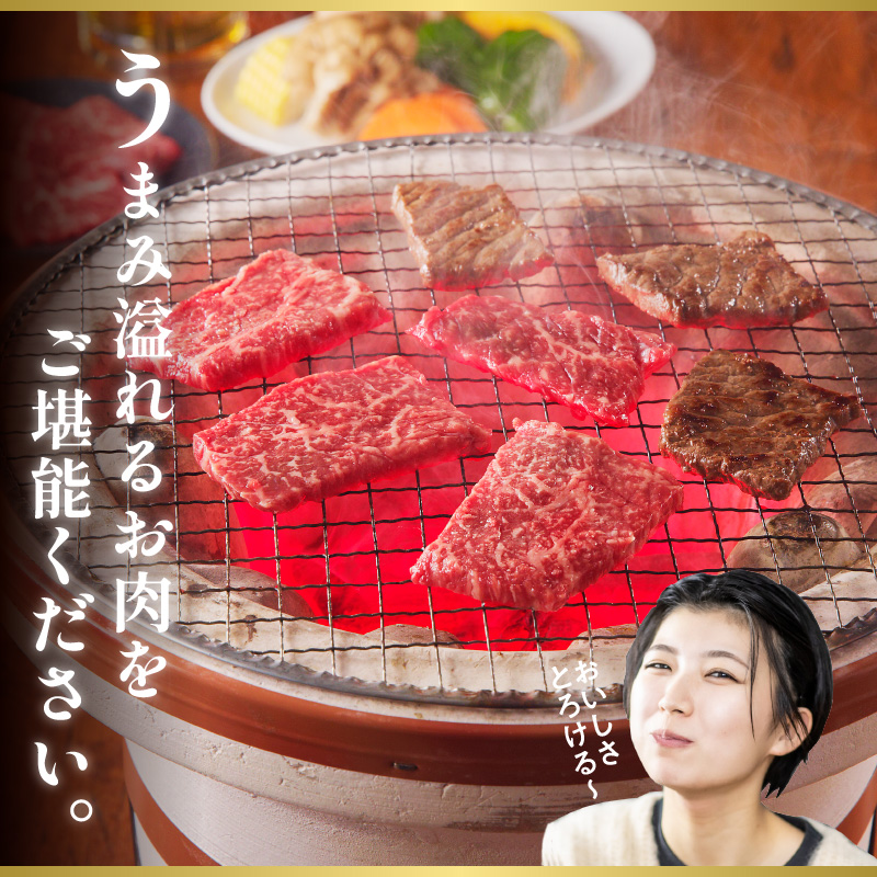 宮崎牛　プレミアム焼肉セット　B101