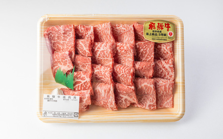 A5飛騨牛もも赤身焼肉 340g【冷凍】冷凍配送 もも 飛騨牛 下呂温泉 おすすめ 牛肉 肉 和牛 赤身 人気 ブランド牛 肉ギフト 国産 贈答品 焼き肉用 ギフト 和牛 15000円【11-1011