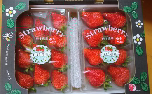 相良村産 いちご「ゆうべに」 250g×6パック 日野農園 【2025年12月上旬～2026年4月下旬発送予定】 熊本県産 苺 イチゴ 果物 くだもの フルーツ