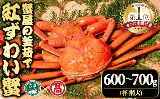 ＜平日着※指定日不可＞＜2025年11月～2026年6月下旬発送予定＞蟹屋の釜茹で紅ずわい蟹(600〜700g・1杯(特大))【T-DT2-A】【大山ブランド会】