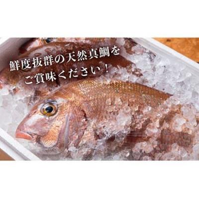 ふるさと納税 壱岐市 【平山旅館壱岐もの屋】鯛茶漬け 6人前 ギフトセット |  | 01