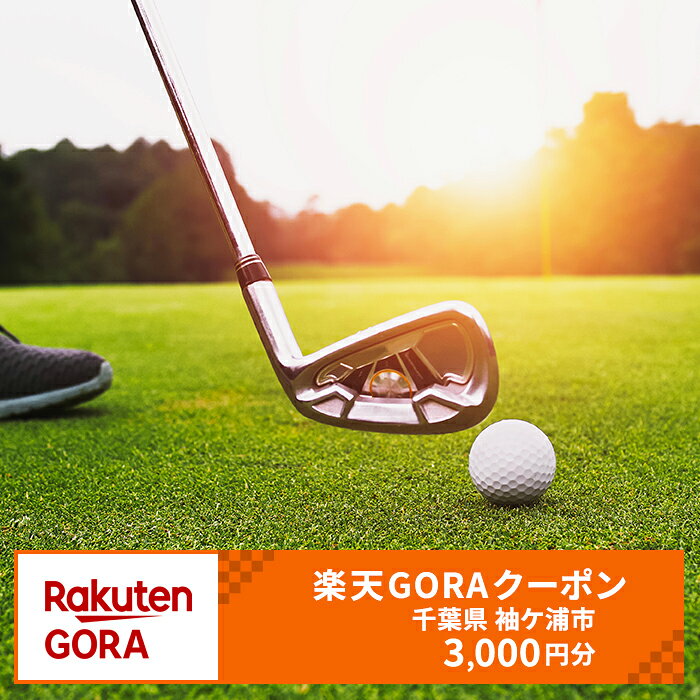 【ふるさと納税】千葉県袖ケ浦市の対象ゴルフ場で使える楽天GORAクーポン 寄付額10,000円 [0440]