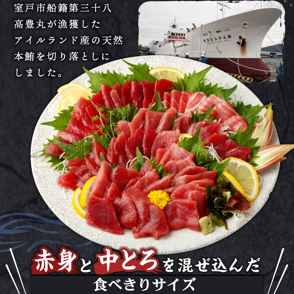 【定期便 / ３ヶ月連続】 天然本マグロ (赤身・中とろ) 切り落とし 合計1.2㎏  (100g×4パック×３回) マグロ 刺身  食べきりサイズ_イメージ2