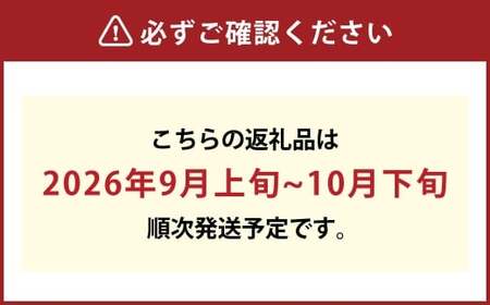 岡山県産 シャインマスカット 晴王 1房 約550g【2026年9月上旬-10月下旬 発送予定】｜種無し 皮ごと食べる フレッシュ 先行受付 ハレノフルーツ
