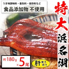 食品添加物不使用の浜名湖うなぎ　長蒲焼5尾(約180g×5)大きなうなぎで脂ノリノリです!肝焼き付