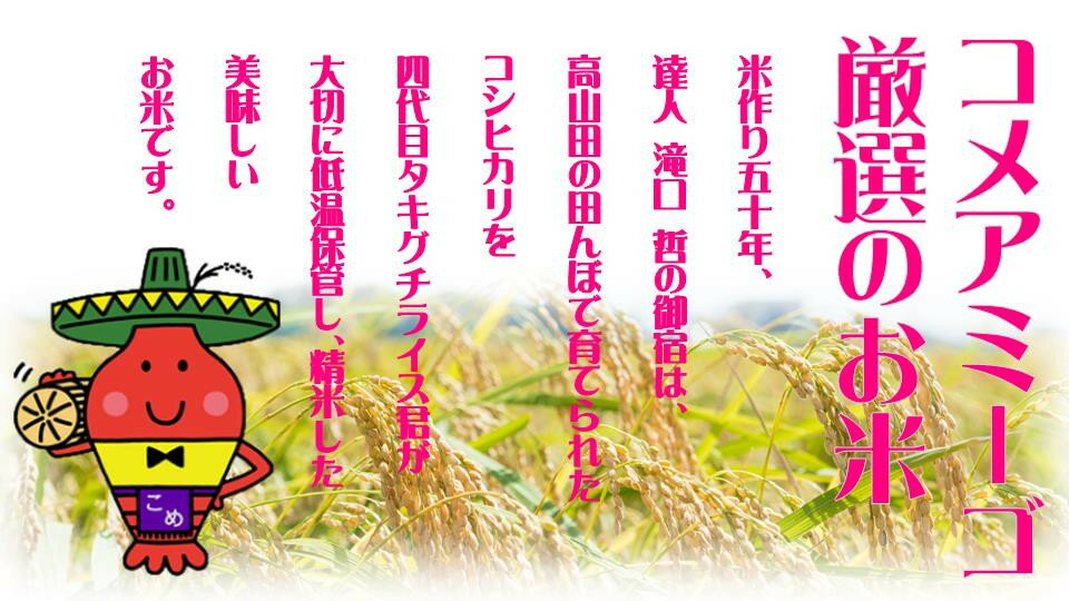 【ふるさと納税】B428 コメアミーゴこだわりのいすみ米コシヒカリ10kg　千葉県　御宿町　 ONJE002