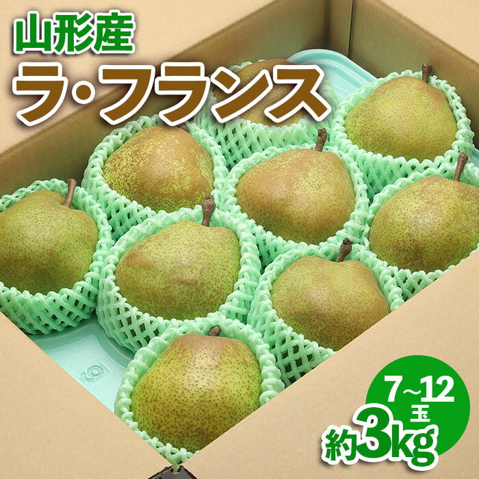 【ふるさと納税】 山形産 ラ・フランス約3kg | 産地直送 旬 fz23-541