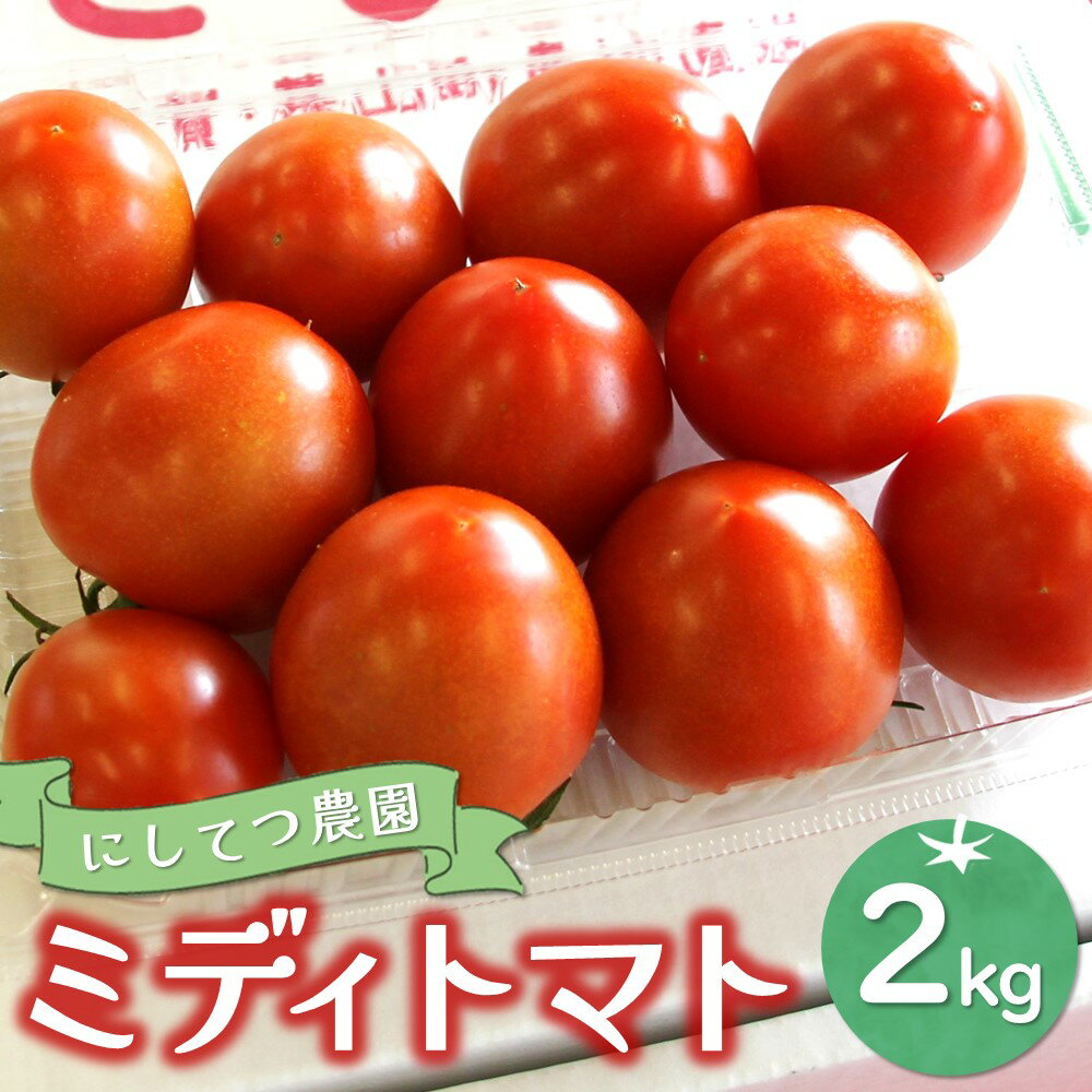 【ふるさと納税】にしてつ農園ミディトマト 2kg【トマト とまと ミディトマト 酸味 甘み 限定 安全×安心×糖度が高め】 A1-R056002