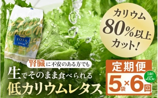 定期便 ≪6ヶ月連続お届け≫ 【機能性×美味しさ】低カリウム水耕レタス JOIA（ジョイア） 約65g×5袋（栽培期間中農薬不使用・洗わず食べられる）　【野菜 生野菜 レタス サラダ お弁当 水耕栽培 洗わず食べられる 時短 付け合わせ】[m40-c003]