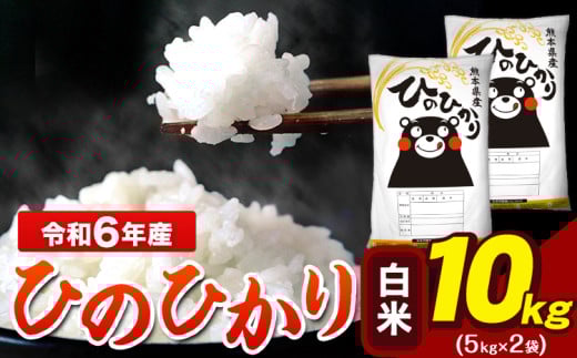 令和6年産 ひのひかり 白米 10kg 《7-14営業日以内に出荷予定(土日祝除く)》 5kg×2袋 熊本県産（荒尾市産含む） 米 精米 ひの