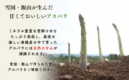 【先行予約】「飯山産新鮮アスパラ」Lサイズ10束(1束3〜5本)1kg（7-A7)