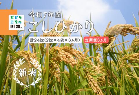 150258【令和7年産／お米定期便／3ヵ月】しまね川本こしひかり 2kg×4袋 (計24kg）