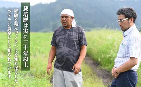 1【高級】八色原すいか小玉４玉