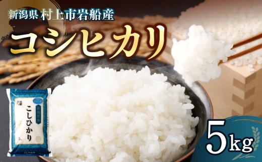 【数量限定・訳あり】【令和7年産米】新潟県村上市岩船産 コシヒカリ5kg　1029019