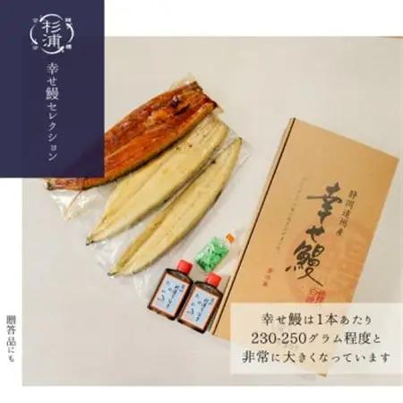 【1本230g以上】遠州杉浦うなぎ 蒲焼セット　蒲焼2本(460g-500g)+肝白焼+タレ_魚介・海産物 うなぎ  ウナギ 鰻_【配送不可地域：離島】【1604148】