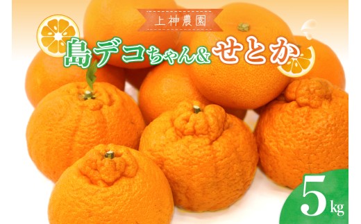 【先行受付】 【2027年2月中旬～発送】 上神農園 島デコちゃん＆せとか 柑橘の王室セット 計約5kg 島デコちゃん せとか 不知火 柑橘 かんきつ 柑橘の王様 柑橘の女王 広島県呉市 広島県 呉市 広島 呉 ku011-022-26