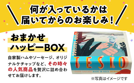 TESIOの自家製ハム＆ソーセージ 『おまかせハッピーBOX』 豚肉 ハム ソーセージ 小分け 真空パック 沖縄市 / TESIO[BCAD019]