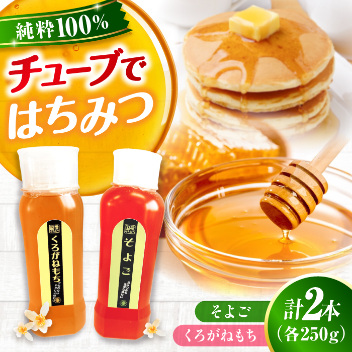 手軽に簡単チューブはちみつ（そよご・くろがねもち）各250g 計2本セット 蜂蜜 ハチミツ お取り寄せ グルメ 三次市/重森養蜂場 [APBO014]